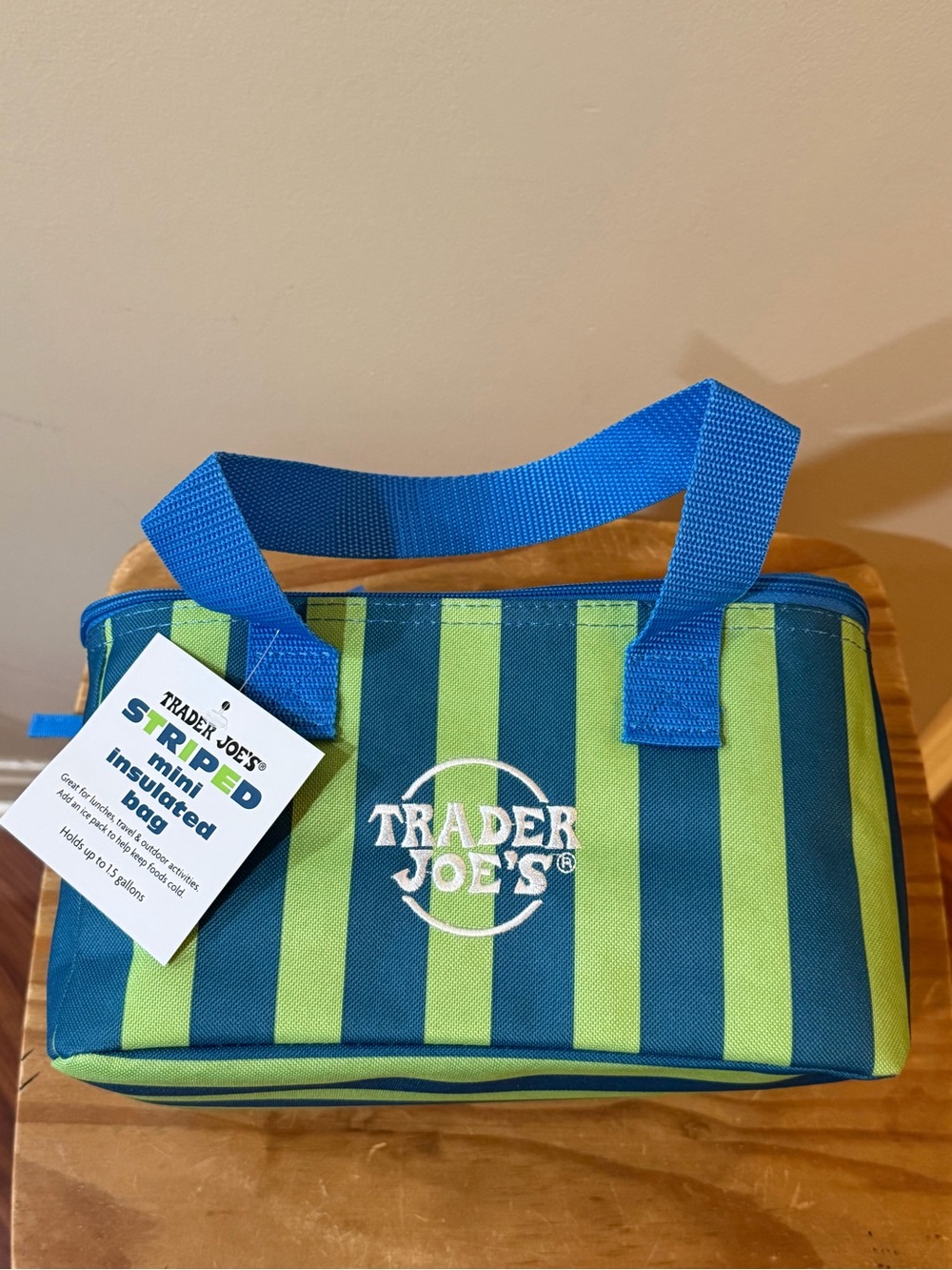 NWT Trader Joe’s Striped Mini Insulated Bag - Cooler Lunch Box Toiletry Bag